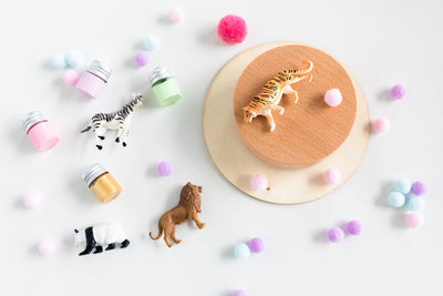 [Party box for 10 ] CAROUSEL MUSIC BOX DIY KIT